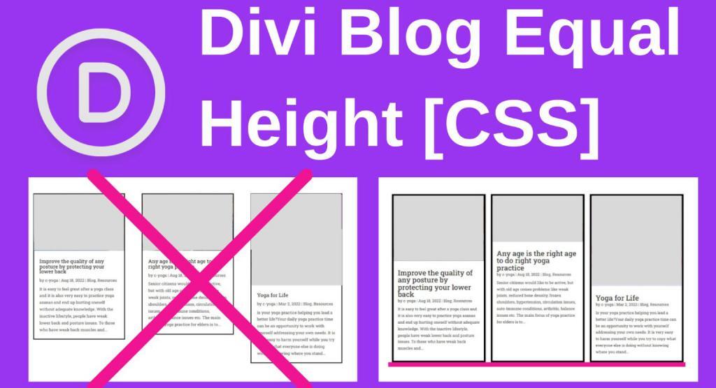 Divi Equal Height Blog