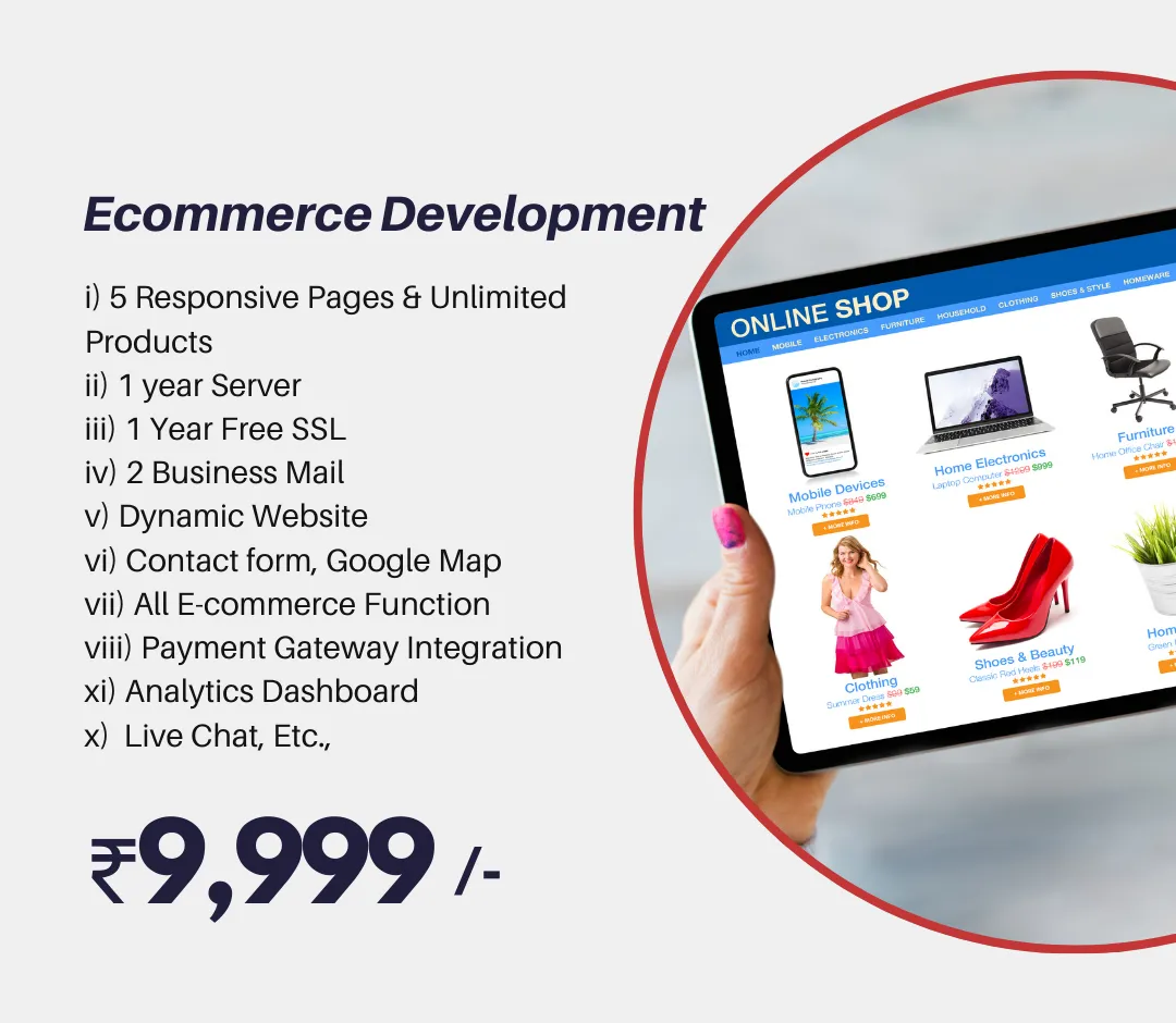 Ecommerce Development price