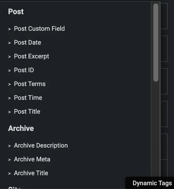 How to Use Dynamic Fields in Forms in Elementor Pro 2 Dynamic-Tag-Options-1
